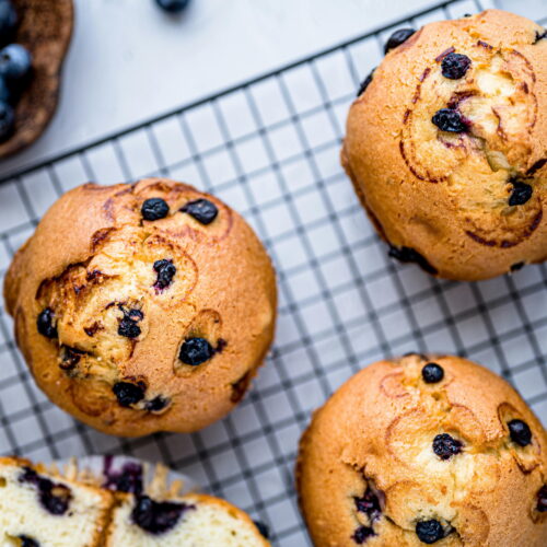 Blueberry Muffins